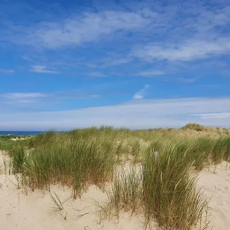 Cs 9 - Callassande *