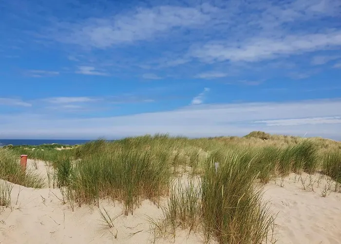 Cs 9 - Callassande *