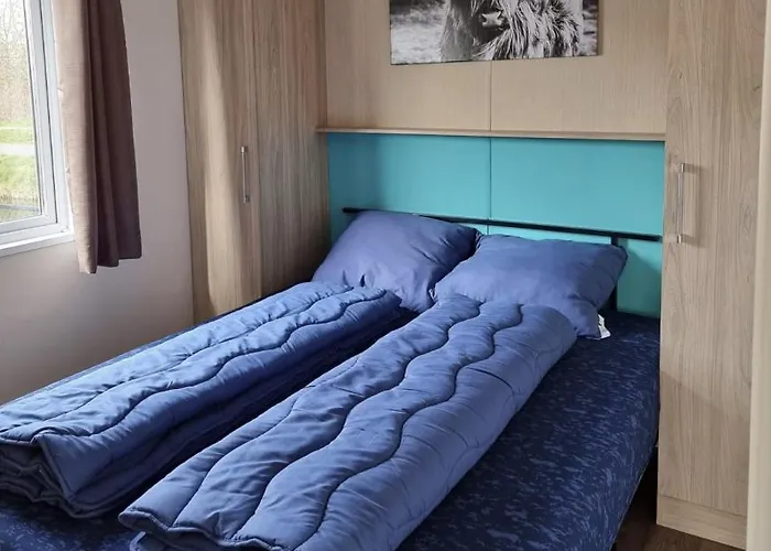 Cs 9 - Callassande *